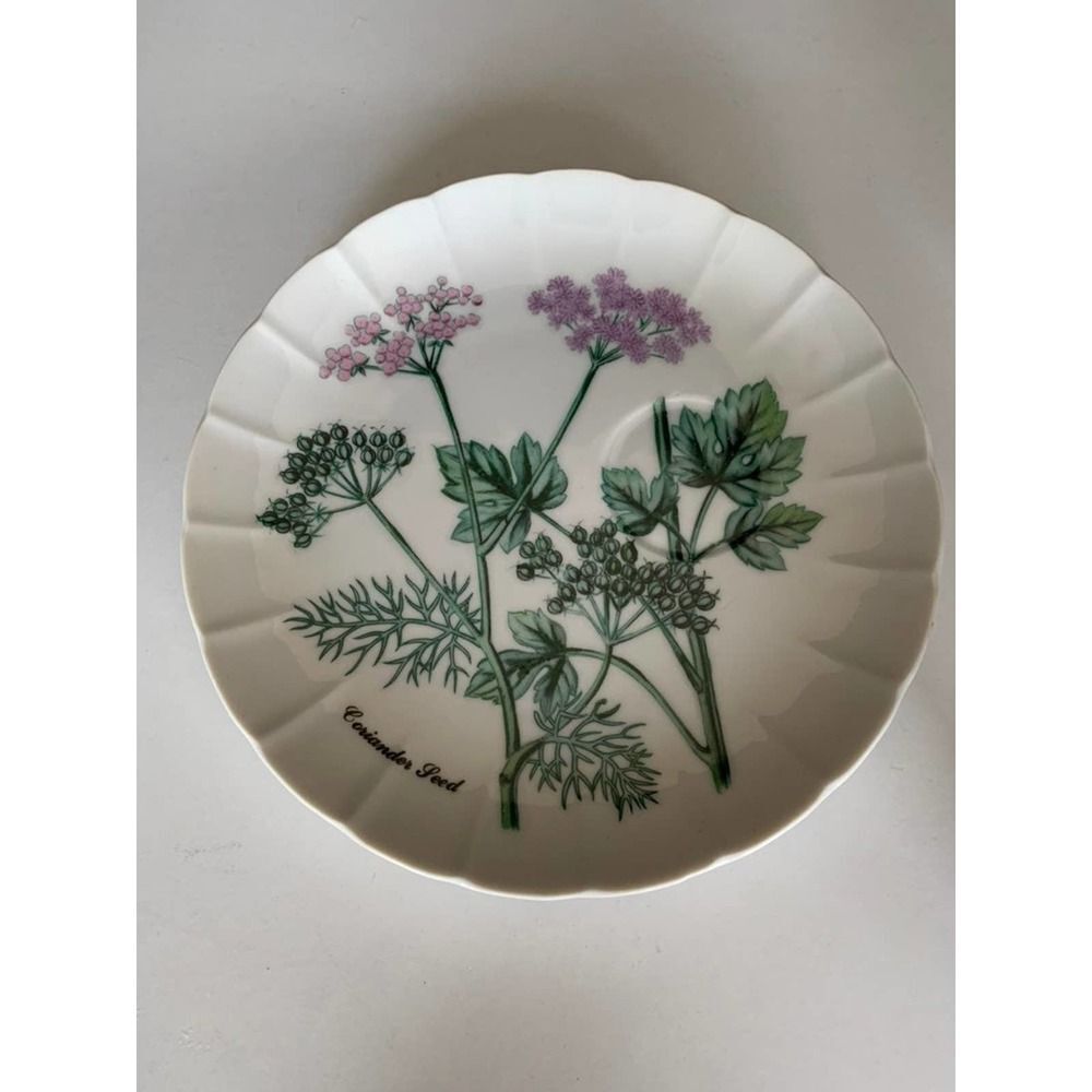 Plate coriander seed herbs flowers